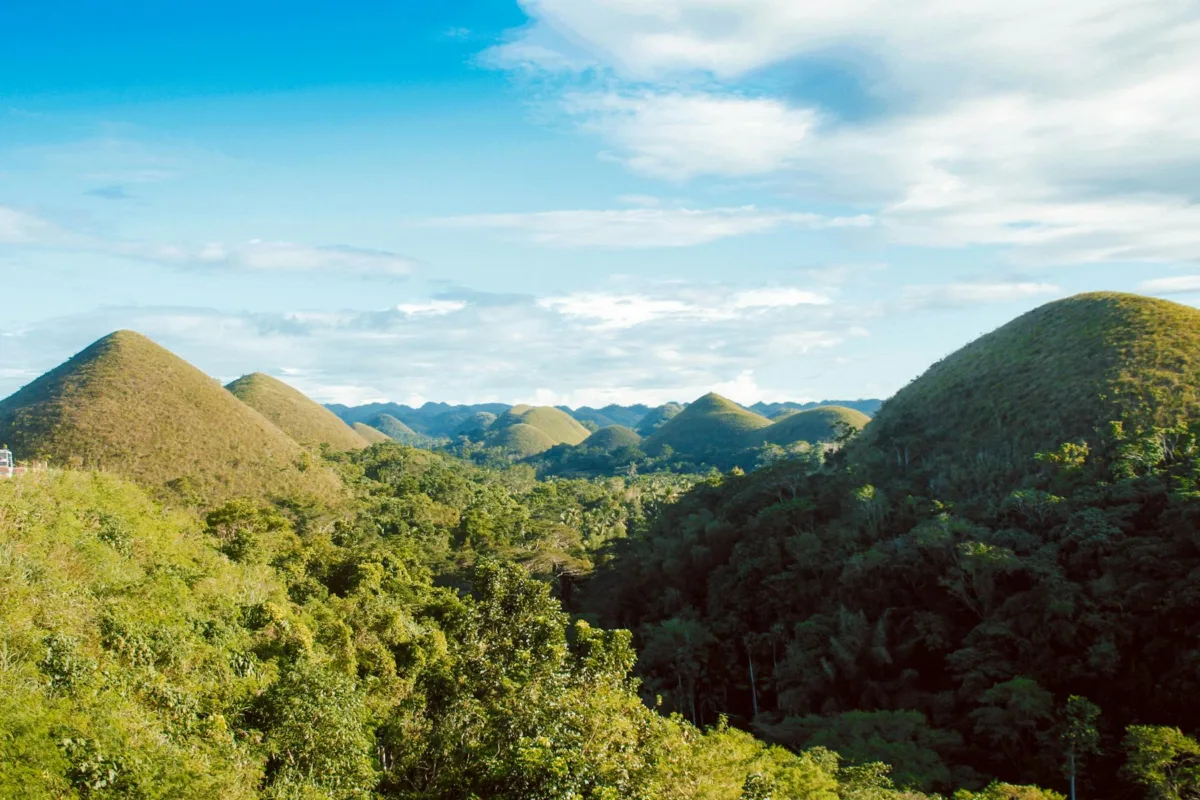   Bohol