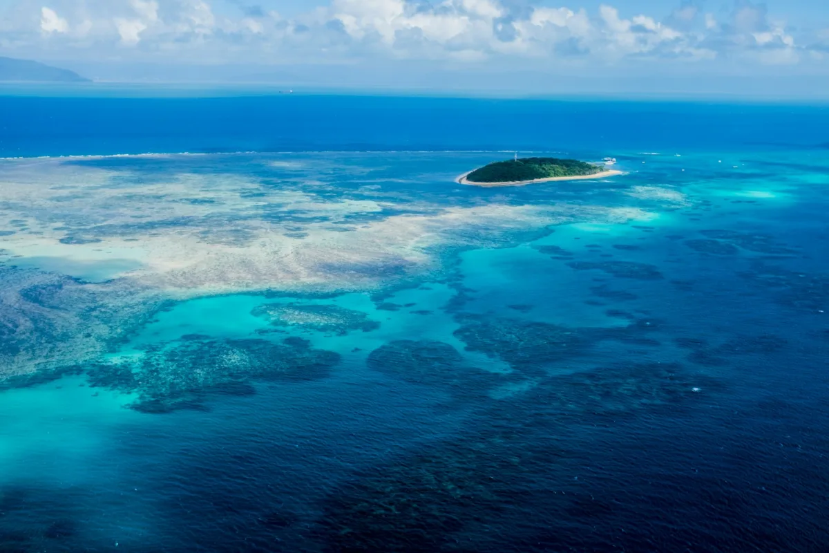 I nostri 5 preferiti sulla costa orientale dell'Australia, da Brisbane alla foresta di Daintree grande barriera corallina australia
