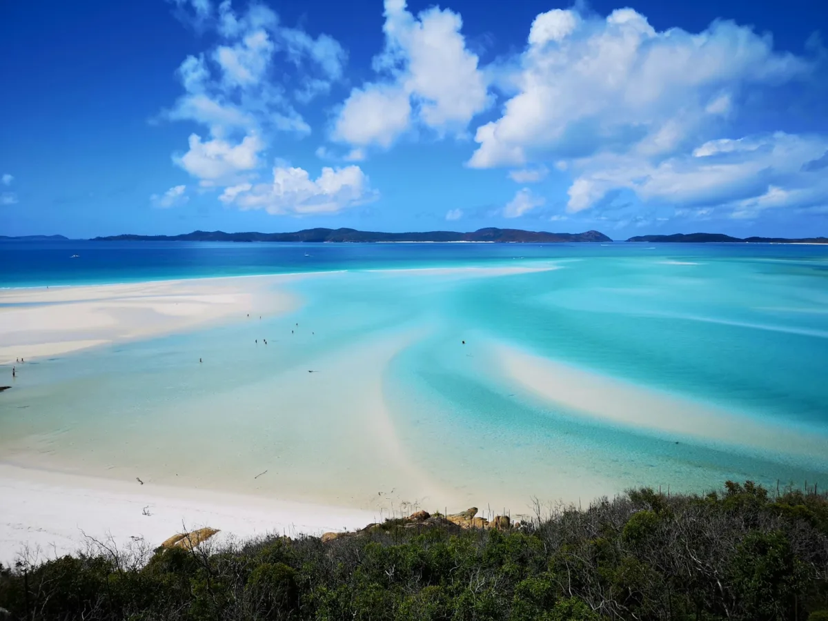 I nostri 5 preferiti sulla costa orientale dell'Australia, da Brisbane alla foresta di Daintree domenica bianca australia