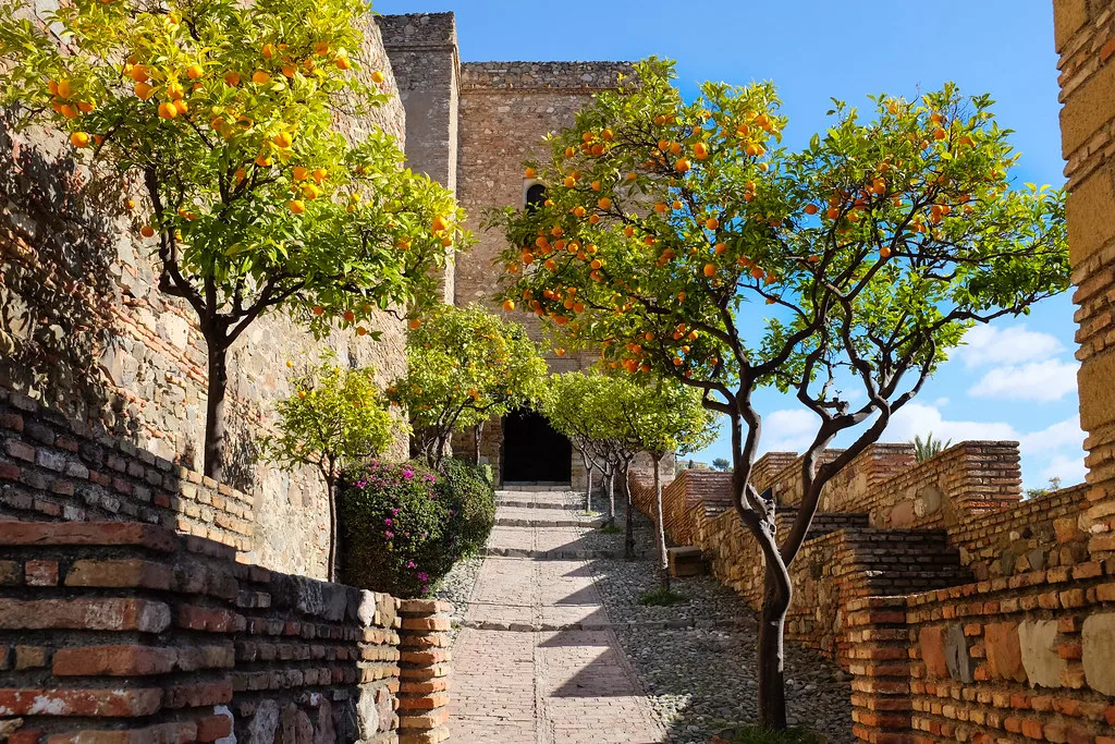Málaga Alcazaba