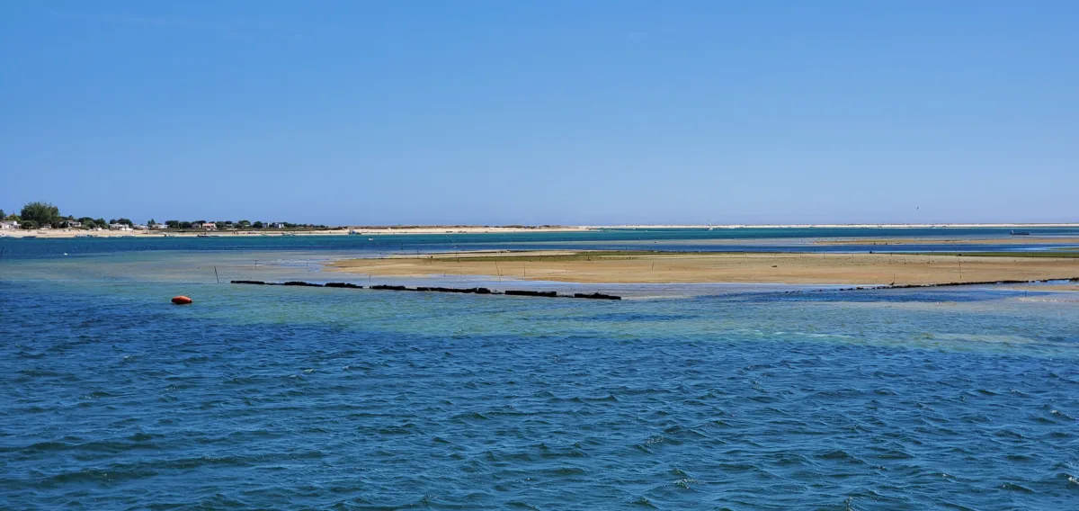 Qué hacer en la isla de Armona en Portugal ? cruceros y playas