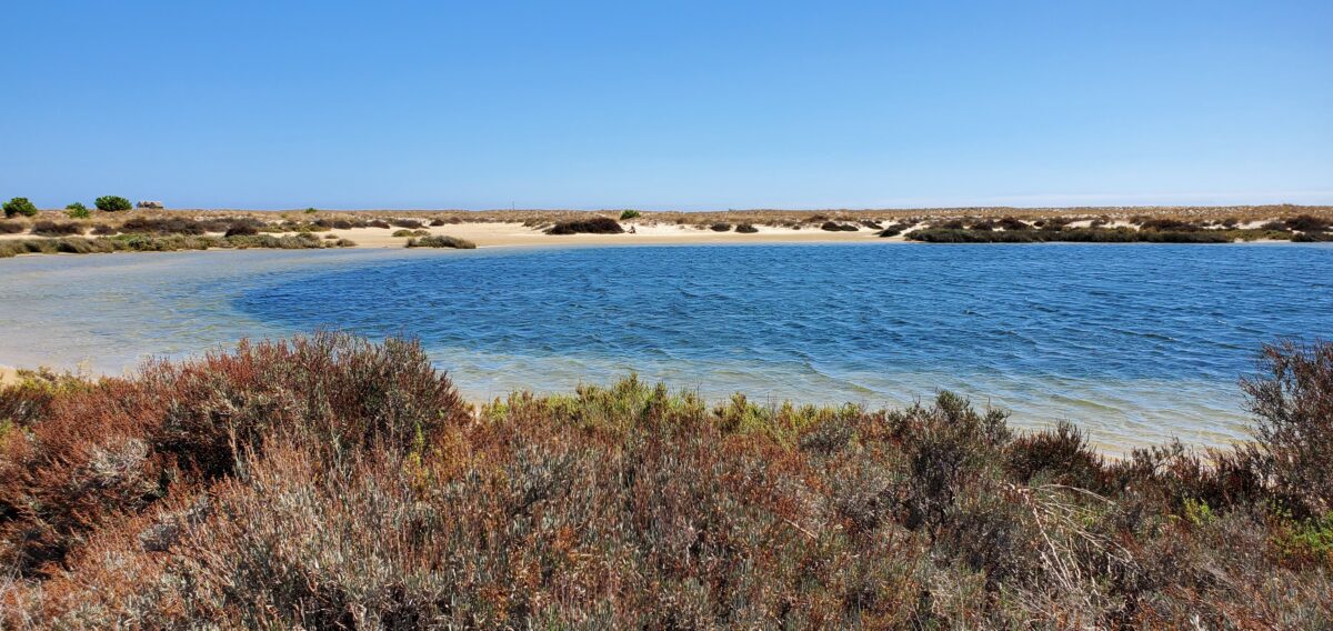 parc naturel la Ria Formosa au Portugal
