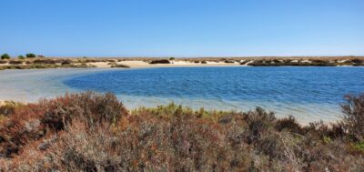 Parque Natural de Ria Formosa en Portugal