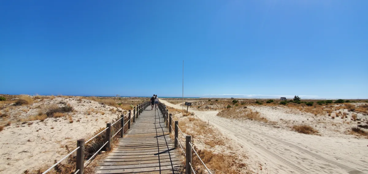 Was kann man im Naturpark Ria Formosa und seinen Inseln in Portugal unternehmen? Ein versteckter Schatz in der Algarve Naturpark Ria Formosa in Portugal
