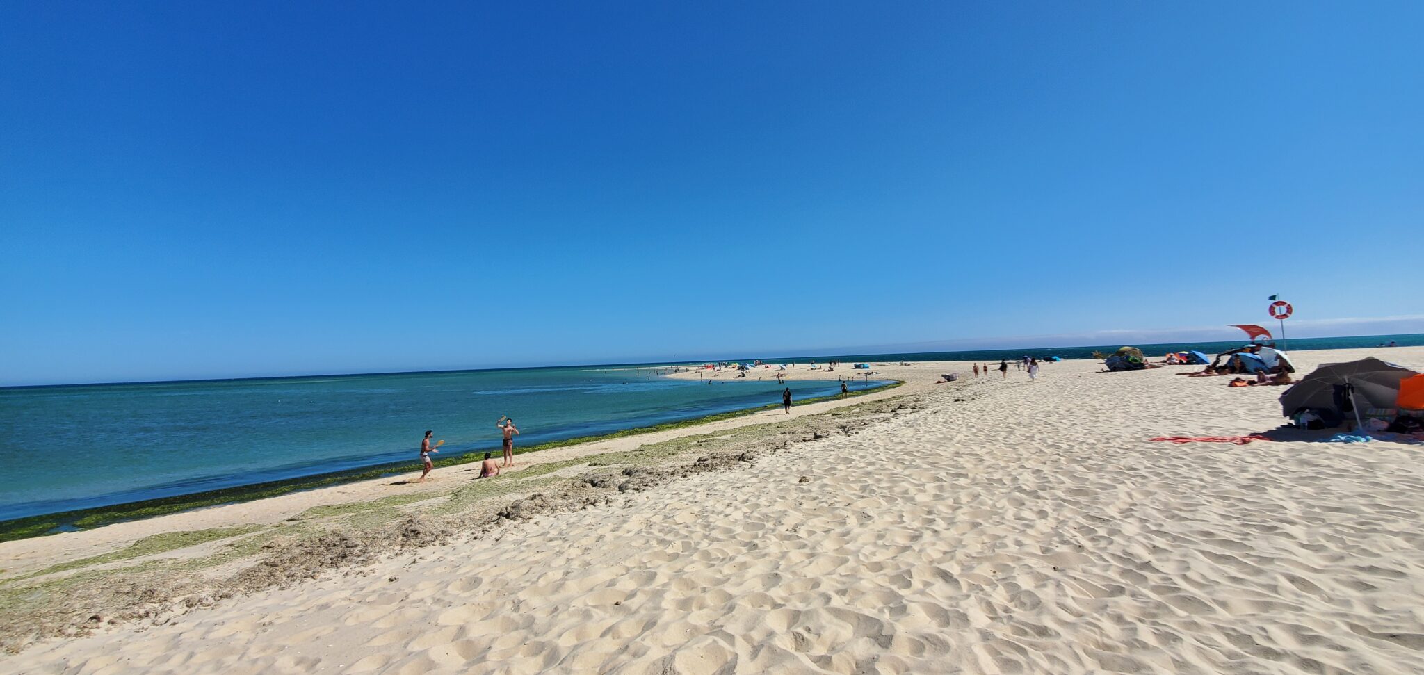 parc naturel la Ria Formosa au Portugal