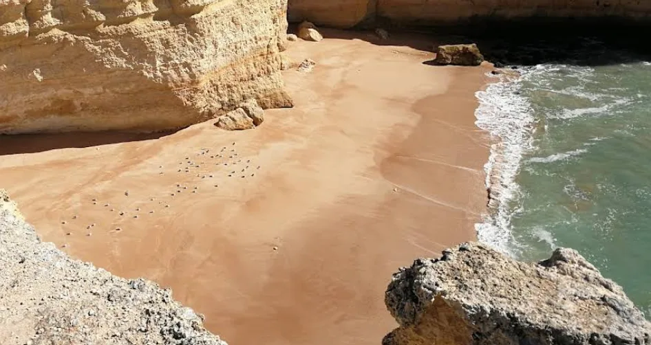 Besichtigung der Höhle von Benagil in Portugal: per Boot, zu Fuß oder mit dem Kajak Höhle von Benagil