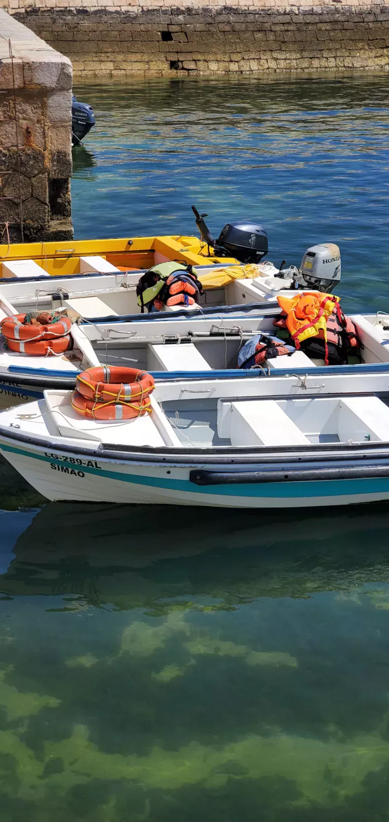 Was kann man in Lagos in Portugal unternehmen? Unsere Meinung und unsere Empfehlungen alvor portugal algarve