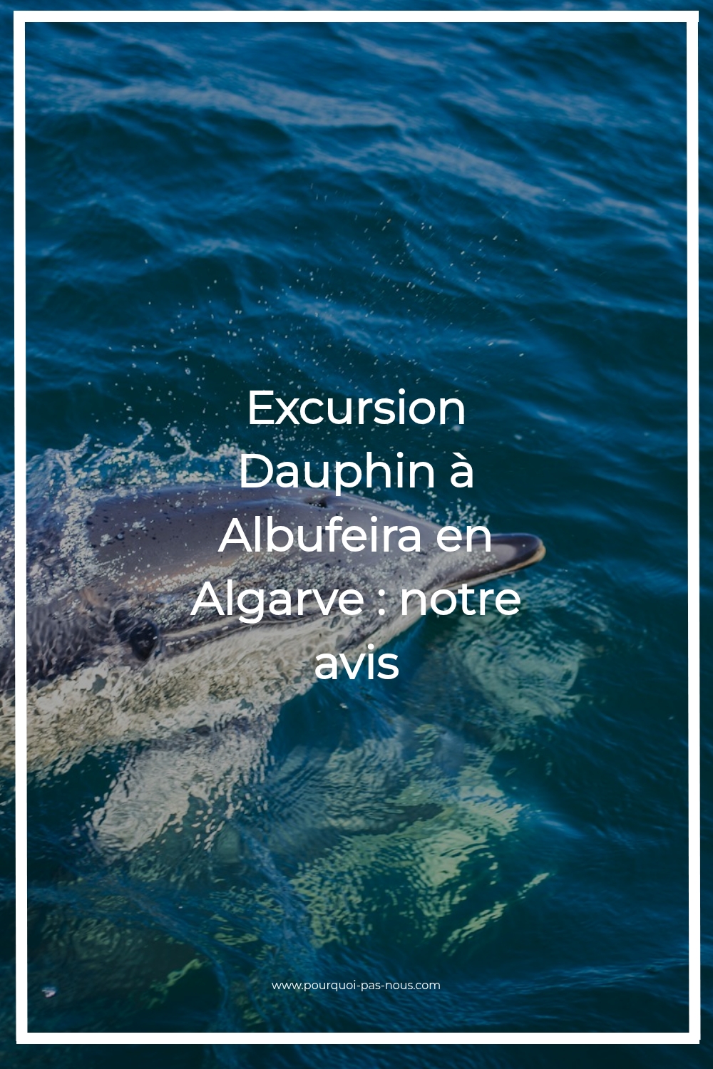dauphin-albufeira-algarve