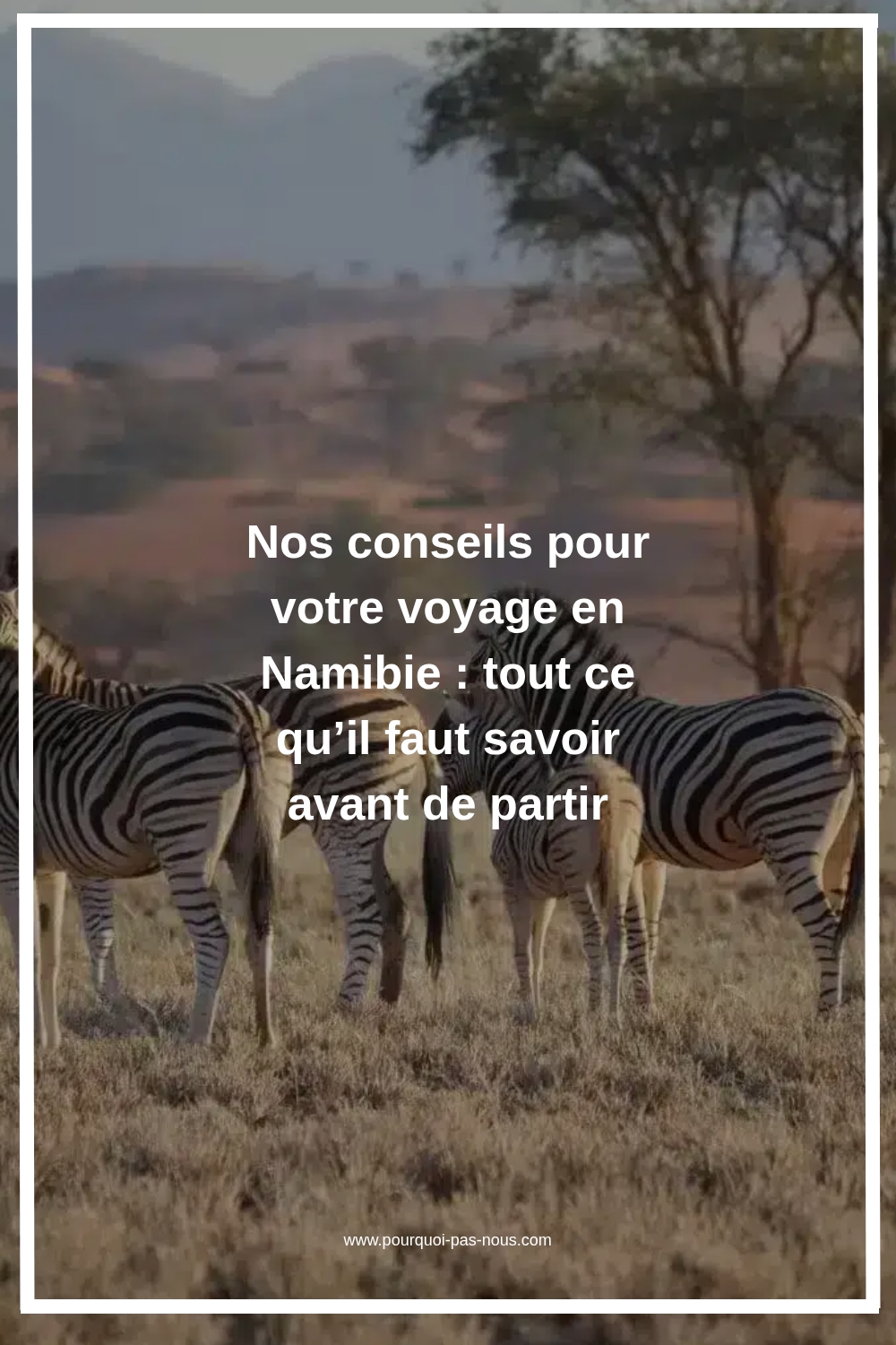 Nos conseils pour votre voyage en Namibie : tout ce qu’il faut savoir avant de partir