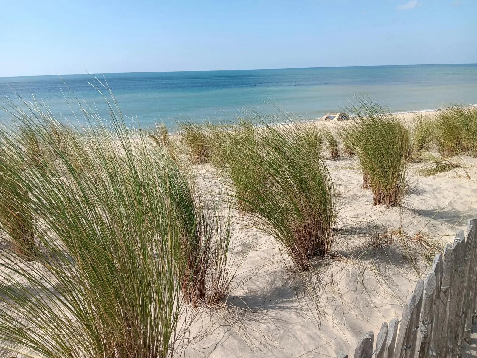 Qué hacer en la costa de Vendée Nuestras ideas de ciudades, islas y escapadas de bienestar Dunas arenosas de hierba exuberante con vistas a una serena playa francesa y a las tranquilas olas del océano.