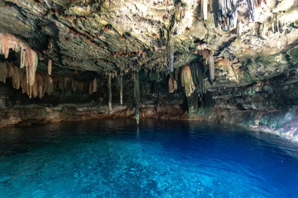 4 excursiones por Playa del Carmen en un viaje a Yucatán cenotes