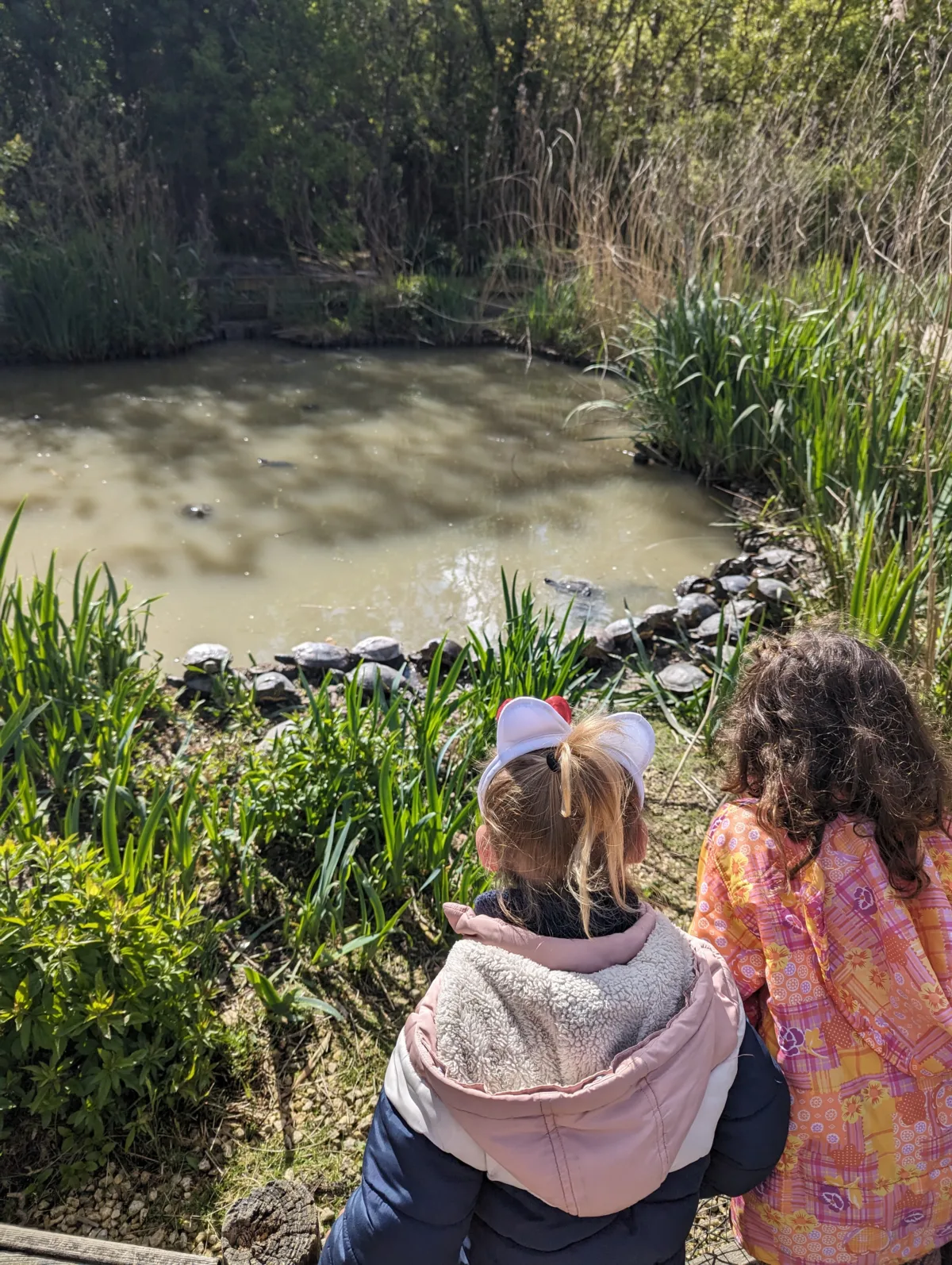 Que faire à l’île d’Oléron avec des enfants ? Nos idées testées en famille oleron oiseau