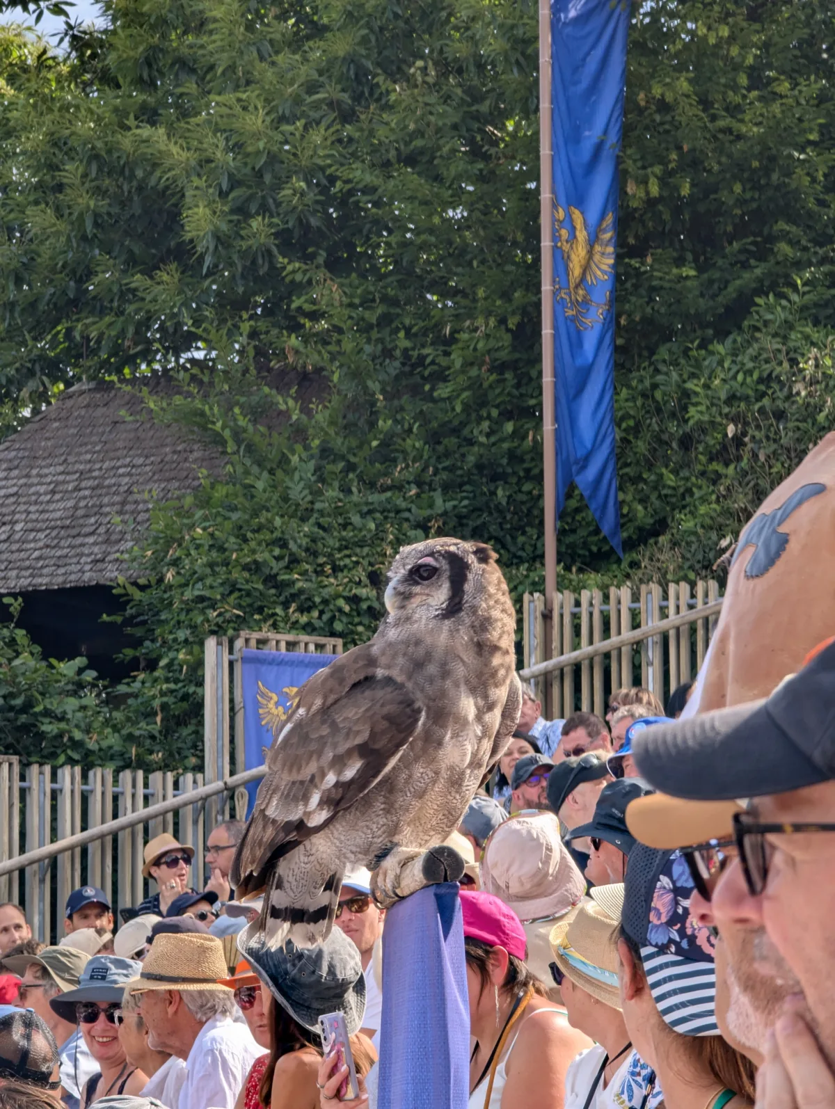 Visiter le Puy du Fou : notre avis et tous nos conseils après 3 jours en famille Puy du fou