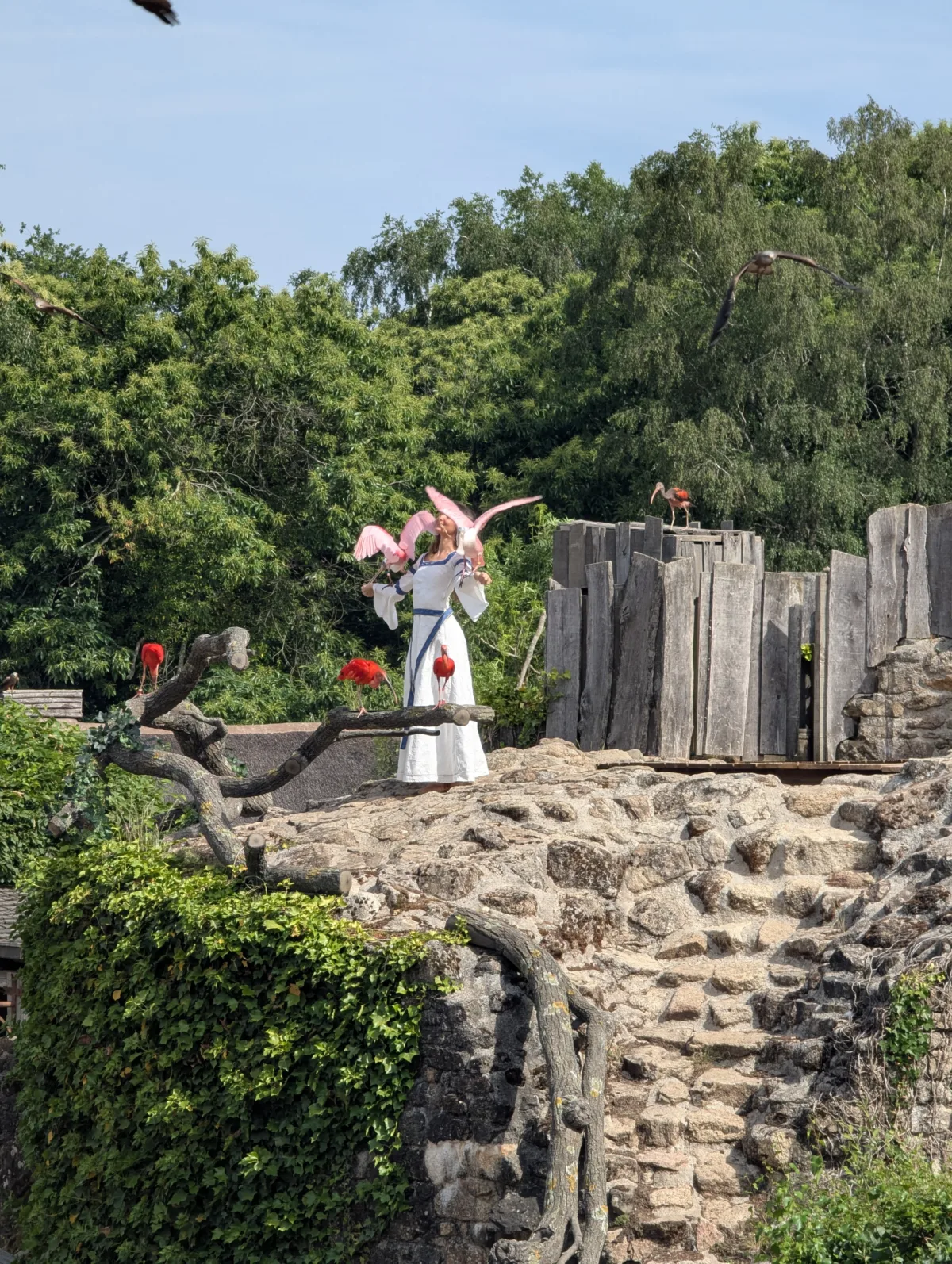 Visiter le Puy du Fou : notre avis et tous nos conseils après 3 jours en famille Puy du fou