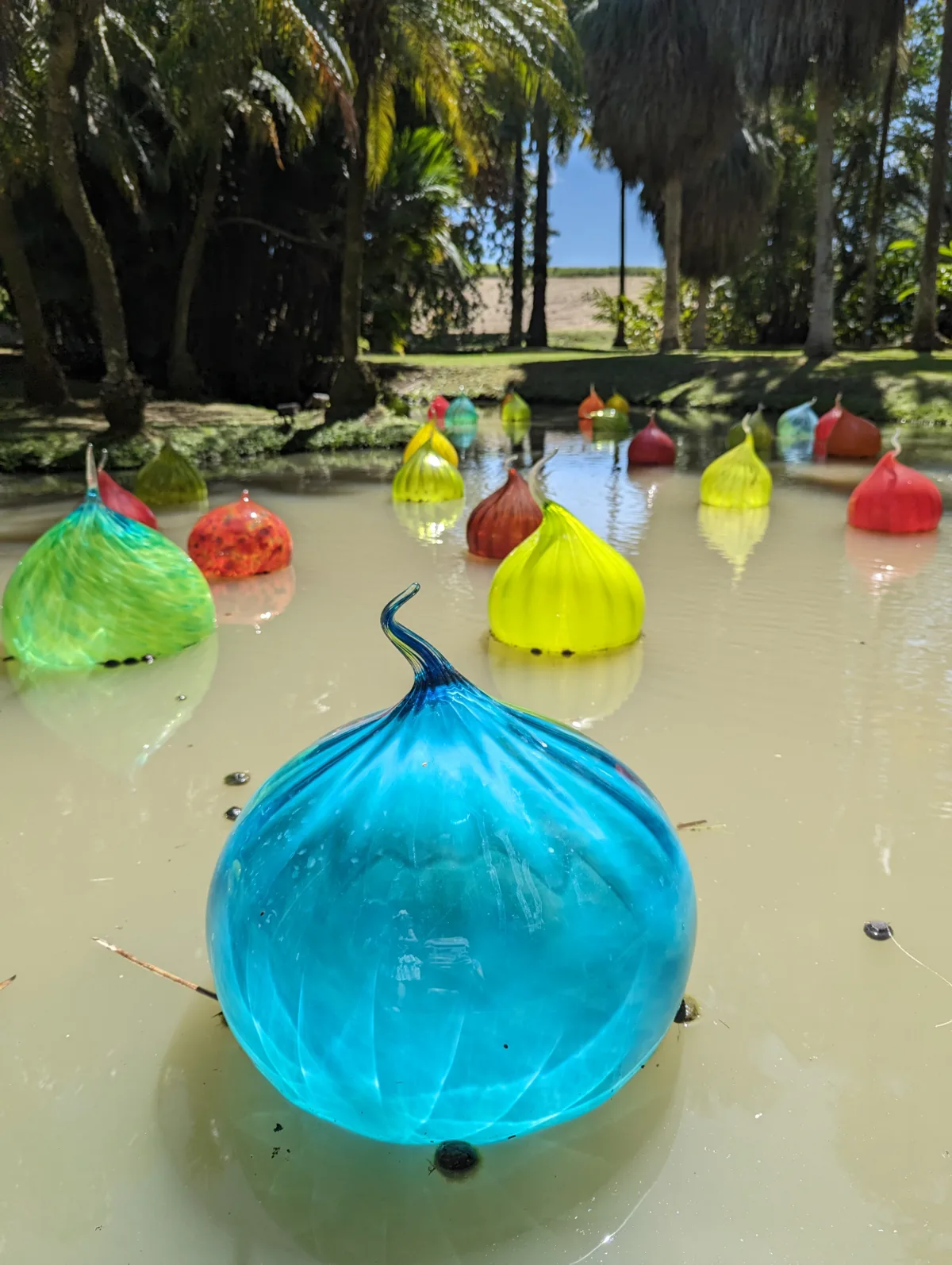 Trois semaines en Martinique : notre itinéraire complet en famille Martinique