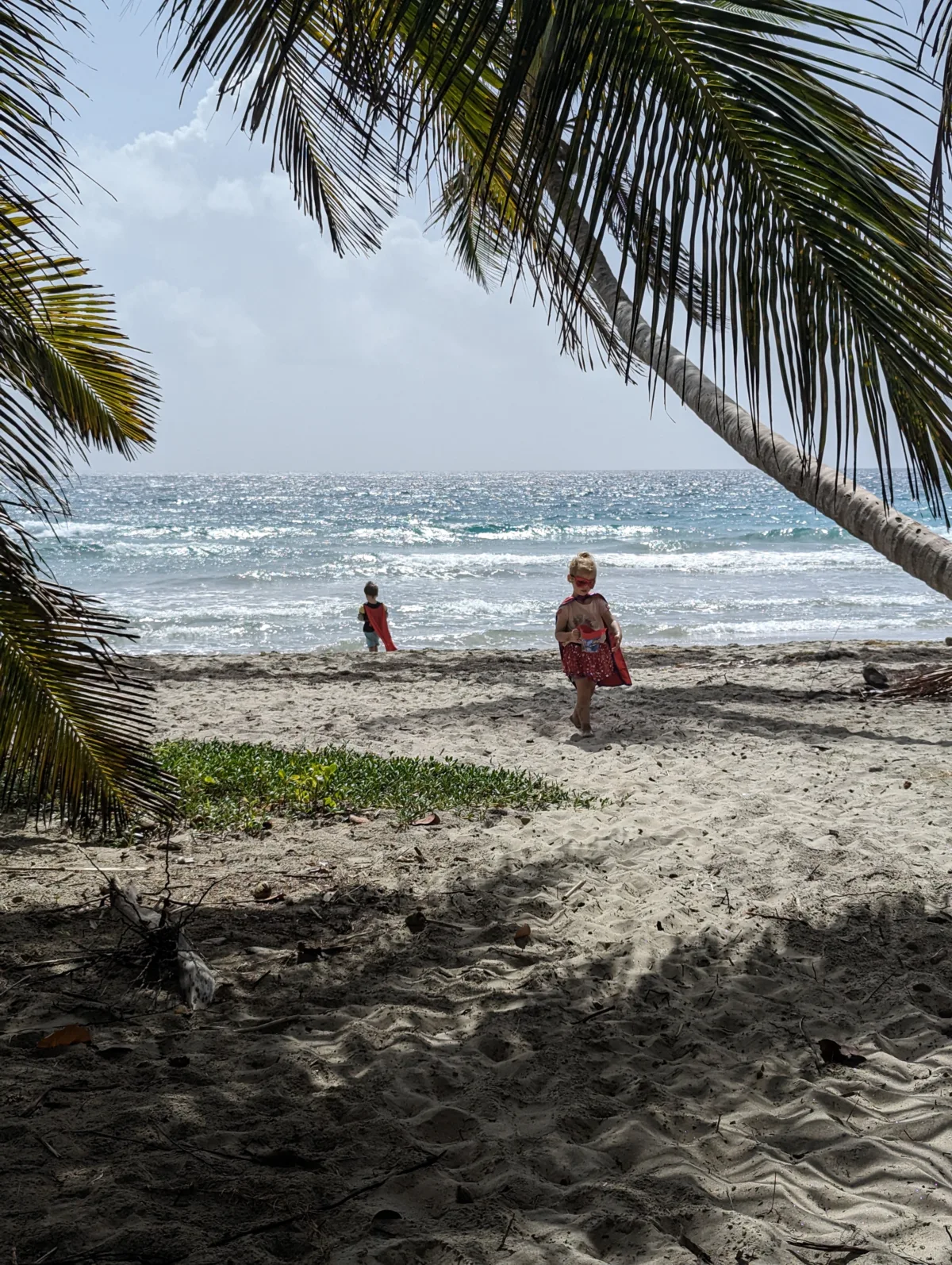 Trois semaines en Martinique : notre itinéraire complet en famille Martinique