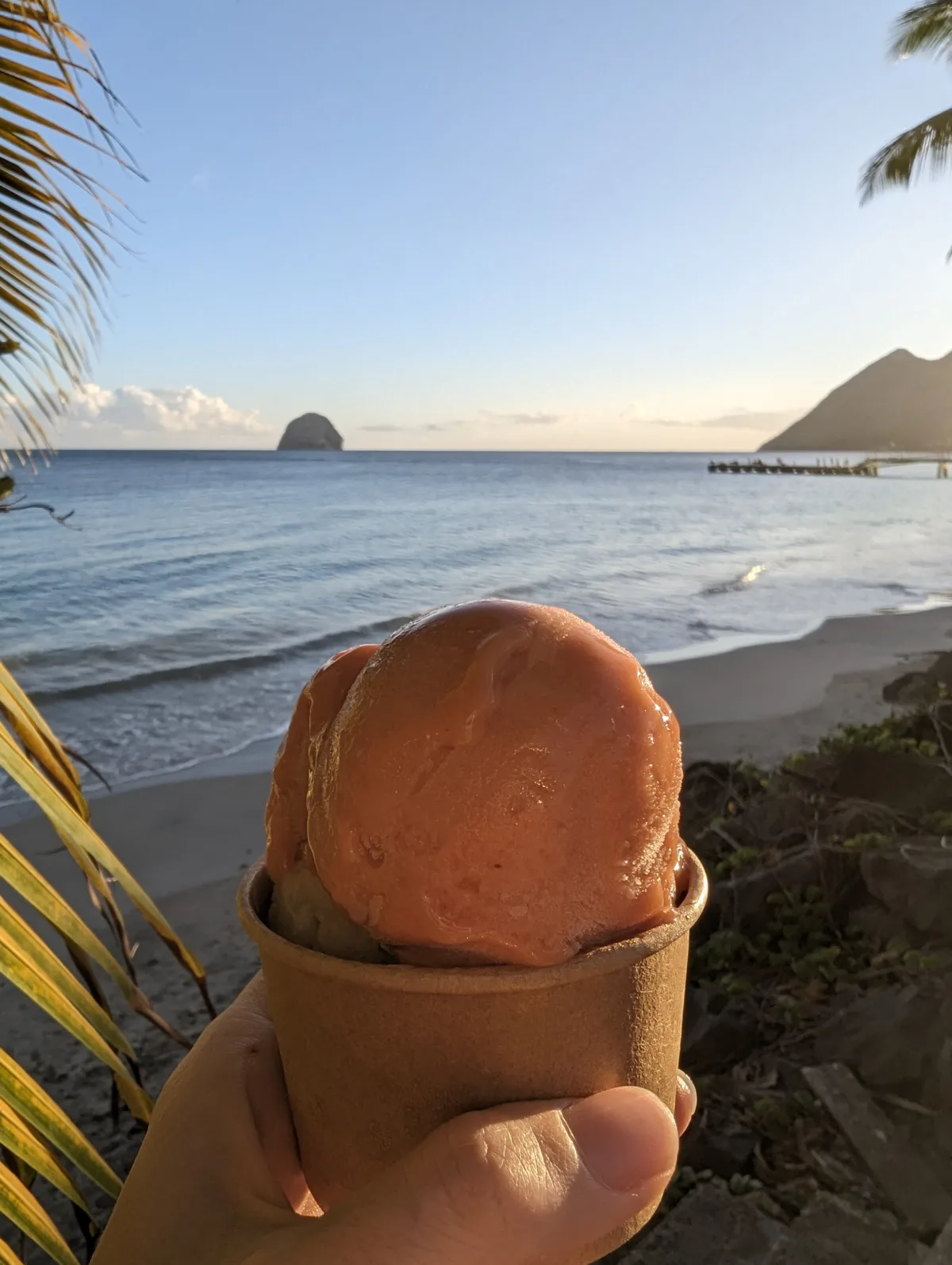 Trois semaines en Martinique : notre itinéraire complet en famille martinique