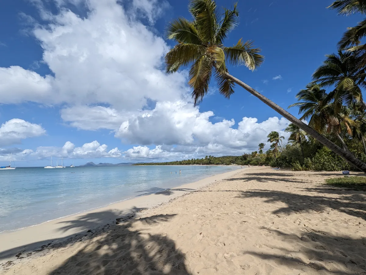 Trois semaines en Martinique : notre itinéraire complet en famille martinique