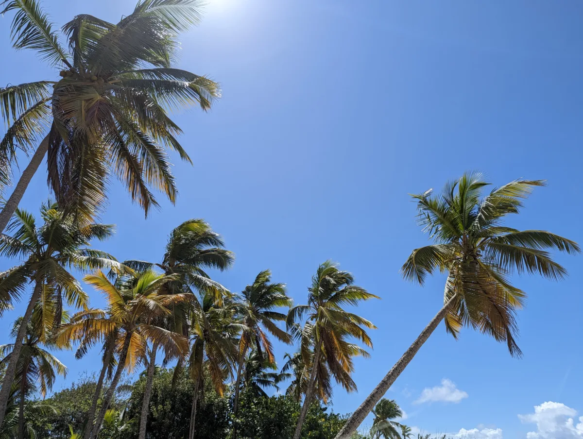 Trois semaines en Martinique : notre itinéraire complet en famille martinique