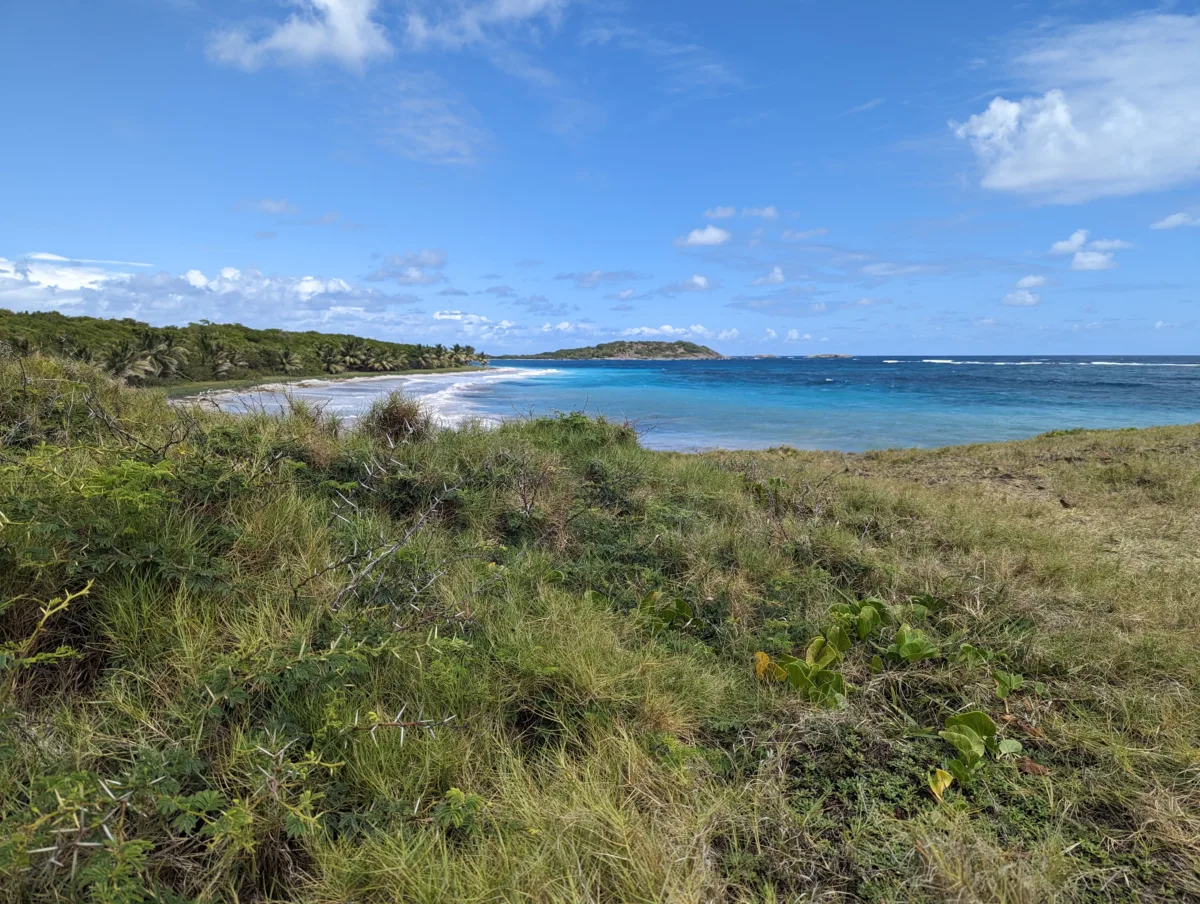 Trois semaines en Martinique : notre itinéraire complet en famille martinique