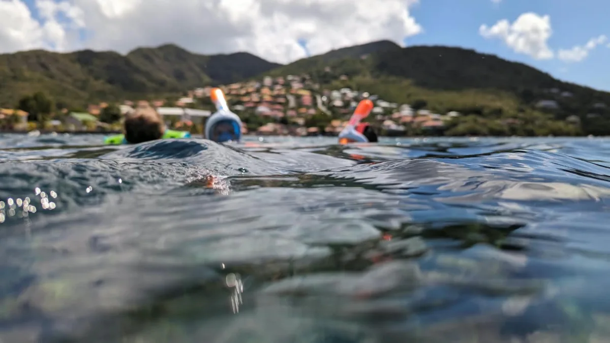 Trois semaines en Martinique : notre itinéraire complet en famille martinique