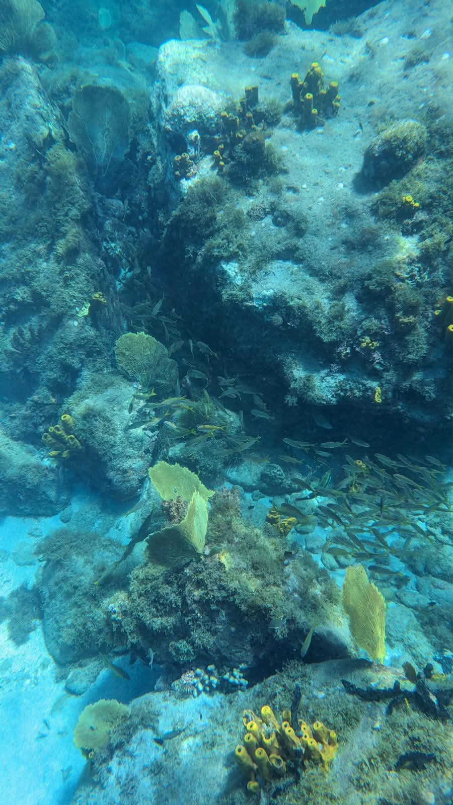 Trois semaines en Martinique : notre itinéraire complet en famille martinique