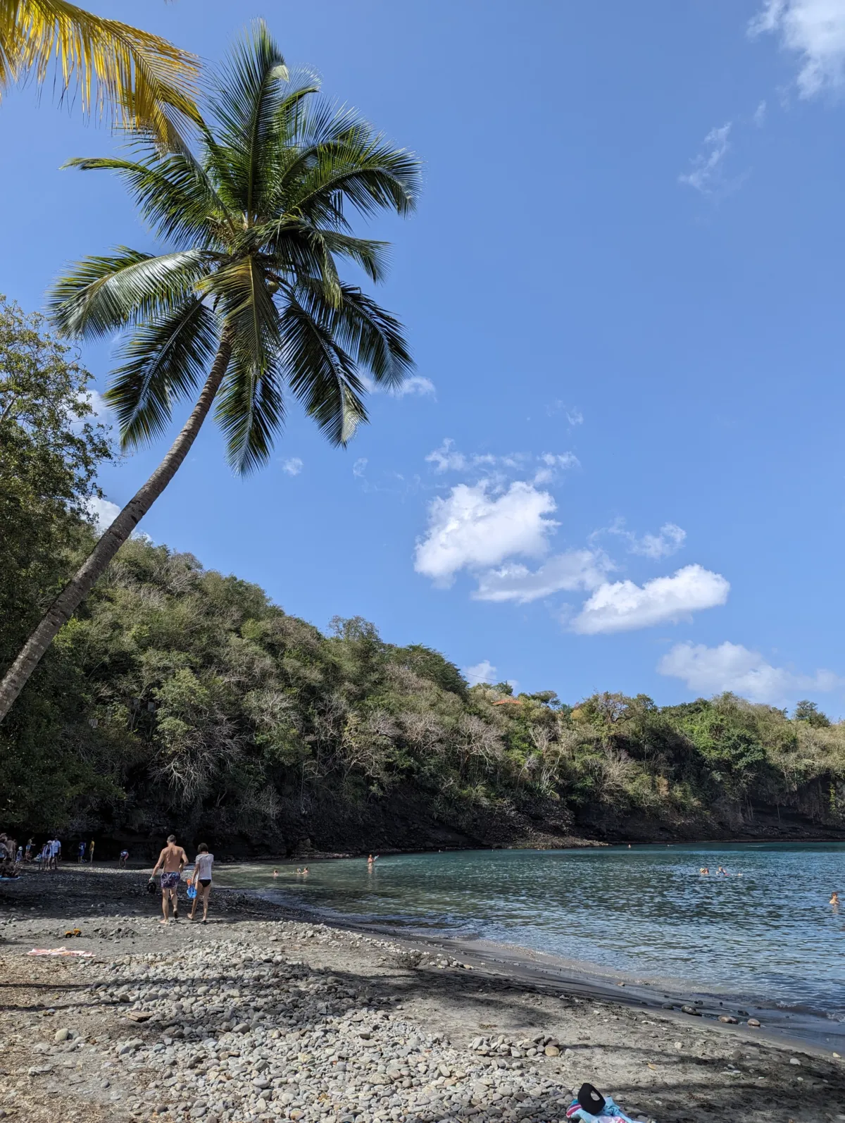 Où faire du snorkeling en Martinique ? Nos 6 spots testés Martinique anse noir