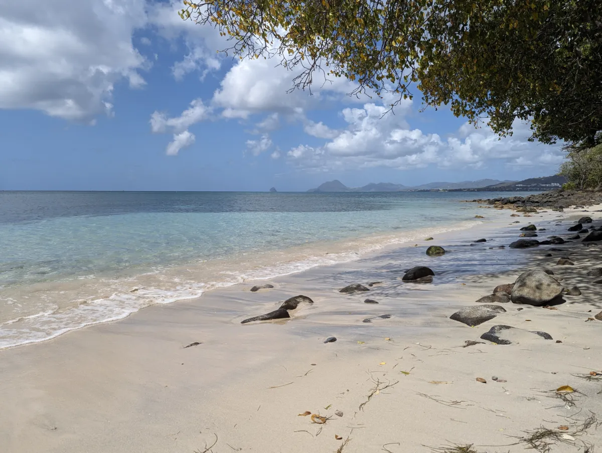 Où faire du snorkeling en Martinique ? Nos 6 spots testés martinique pointe borgnèse