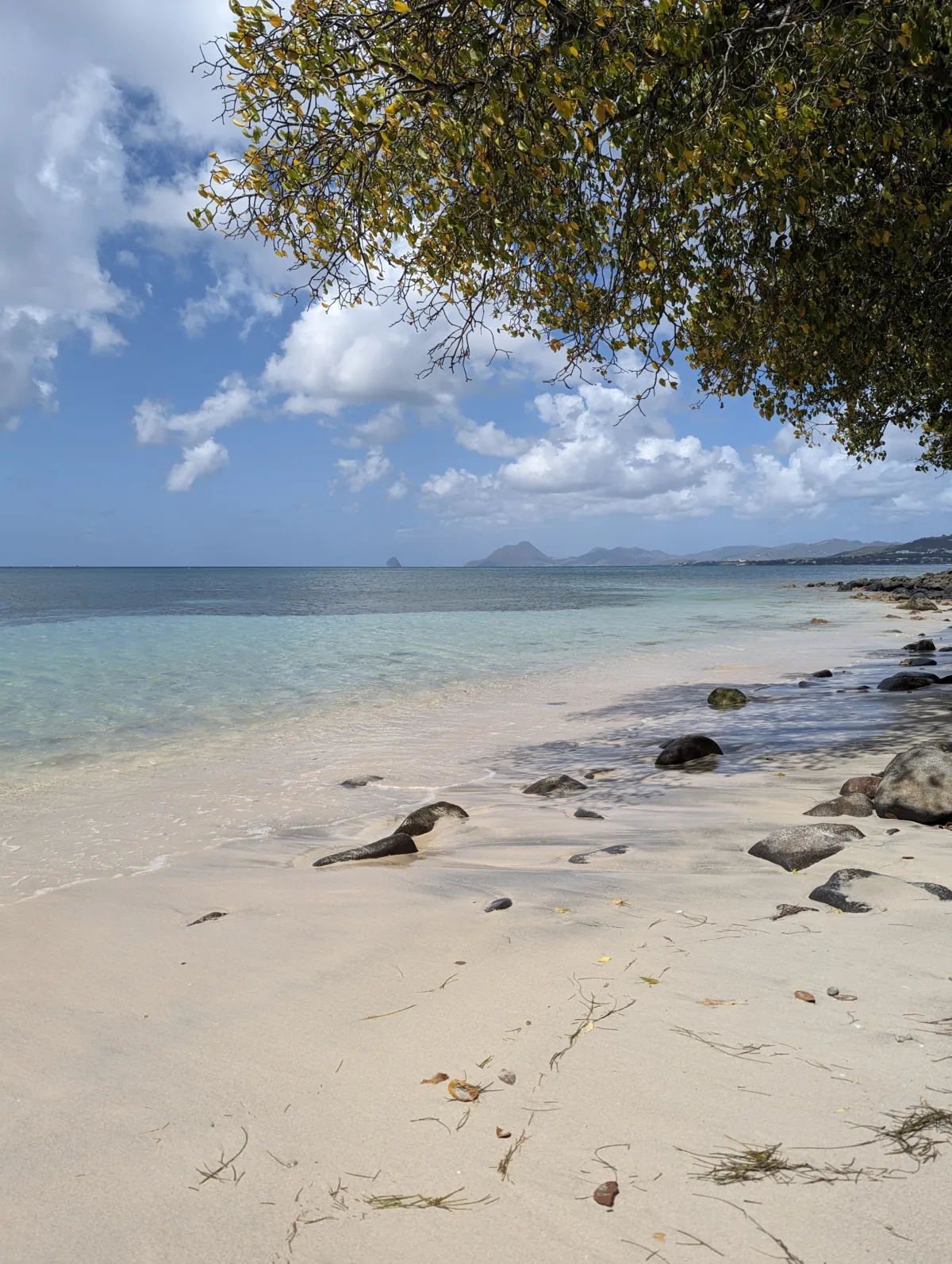 Où faire du snorkeling en Martinique ? Nos 6 spots testés martinique pointe borgnèse