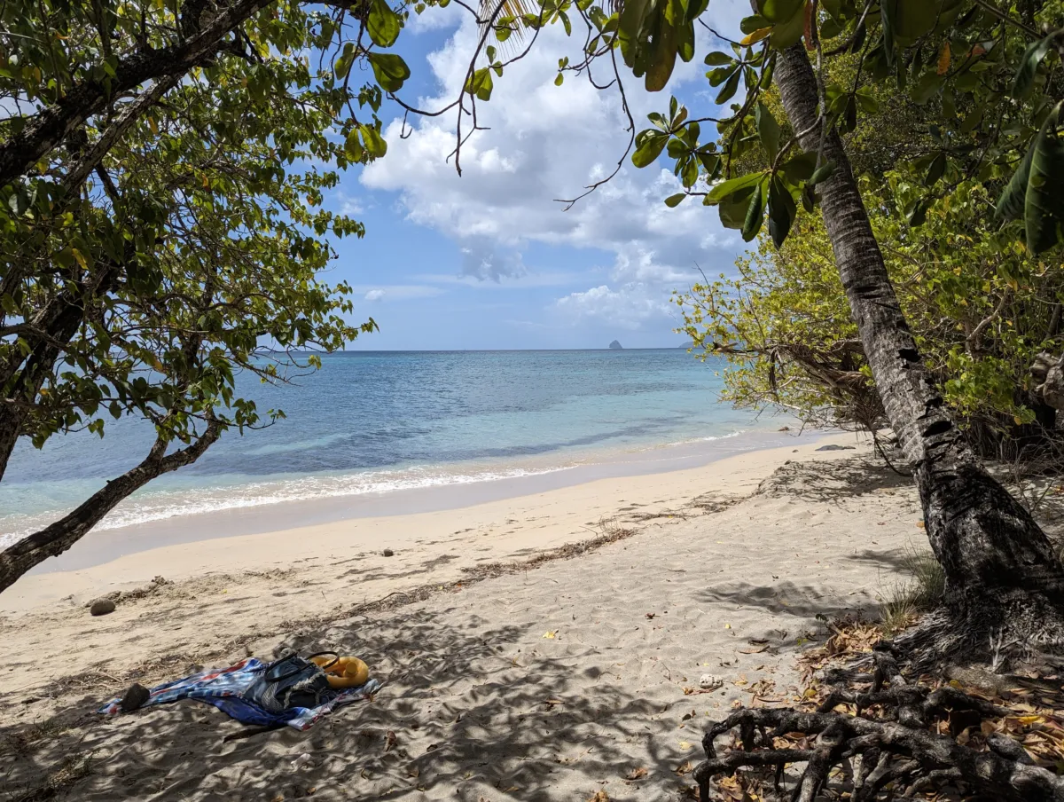 Où faire du snorkeling en Martinique ? Nos 6 spots testés martinique pointe borgnèse